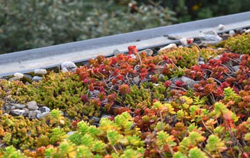 the cost of Dre Goch green roof installation